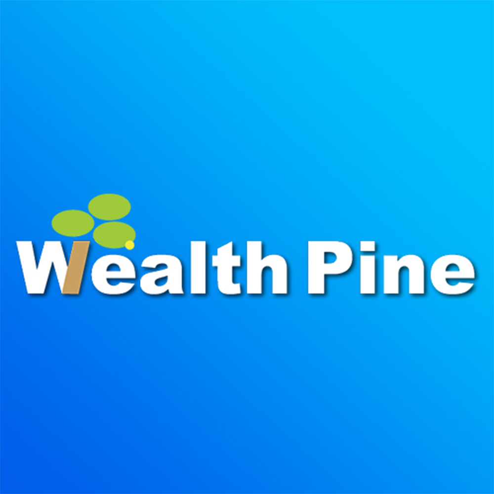 合同会社Wealth Pine